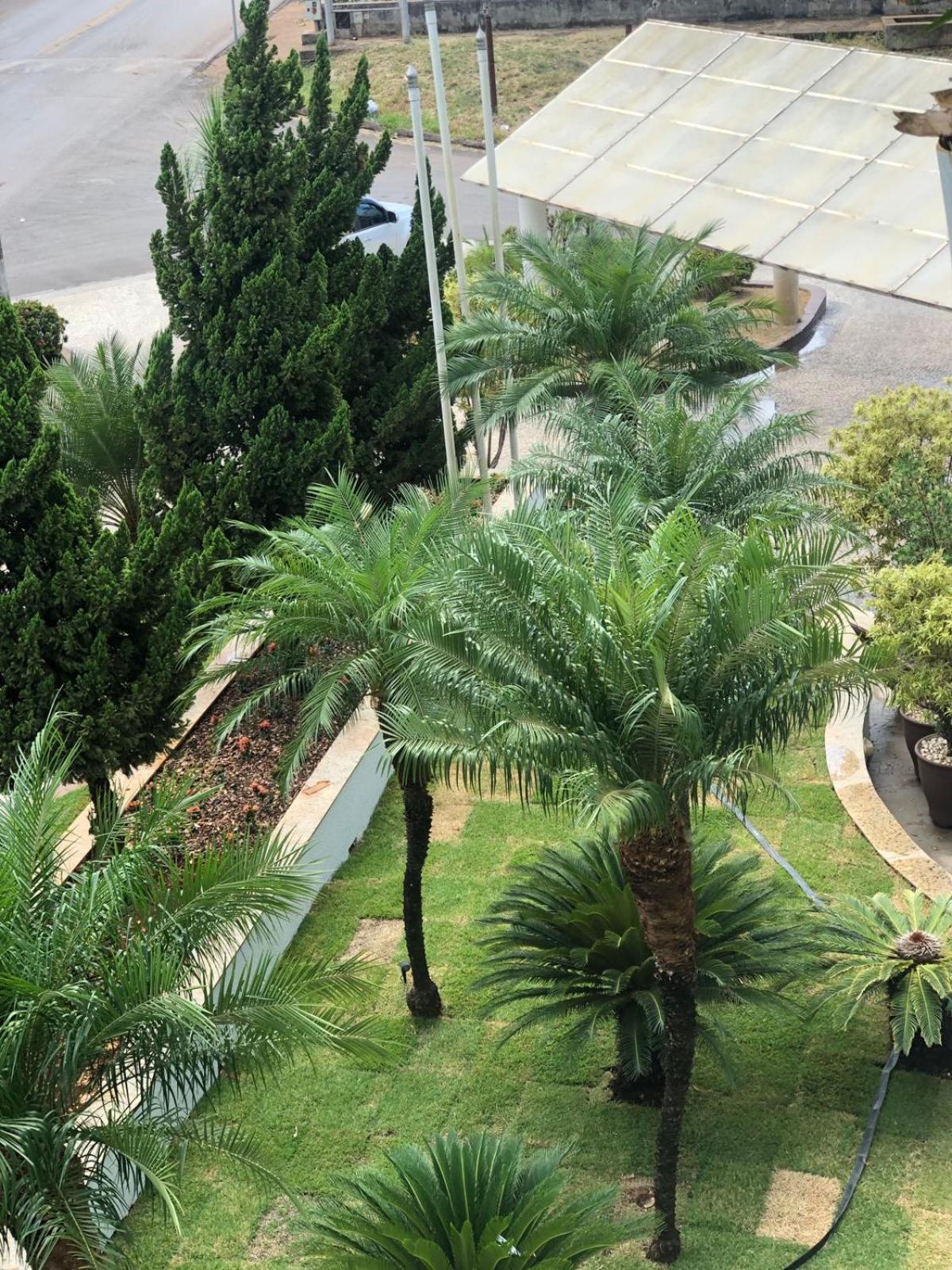 Paracatu Plaza Hotel Extérieur photo
